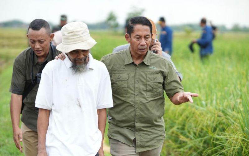 uploads/news/2025/03/bulog-pastikan-tetap-serap-57321530d655405.jpeg