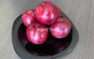 uploads/news/2025/03/coating-glossy-sawit-perpanjang-778962c790bde14_400.jpg