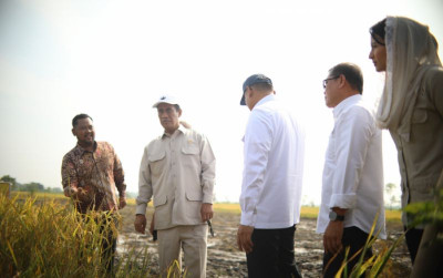 uploads/news/2025/03/hasil-panen-diserap-pemerintah--58087129cf53c7e_400.jpeg