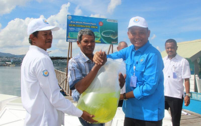 uploads/news/2025/03/ikan-kakap-19710848c4841d5_400.jpg