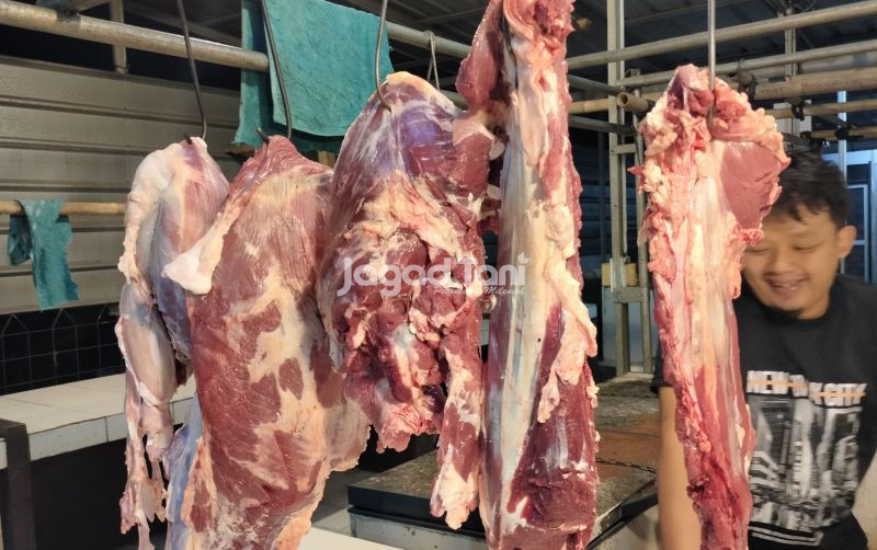 uploads/news/2025/03/kementan-perketat-pengawasan-produk-392660bfb04bc49.jpg