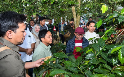 uploads/news/2025/03/kopi-sarongge-hasil-agroforestri-51757481894dd2d_400.jpg