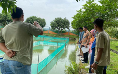uploads/news/2025/03/pengawasan-mutu-benih-ikan-73516d09e2ead8c_400.jpg