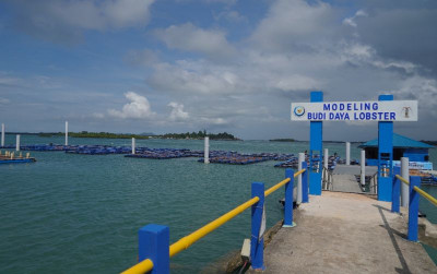 uploads/news/2025/03/pengembangan-ekonomi-biru-mendapat-901716ff31501ee_400.jpg