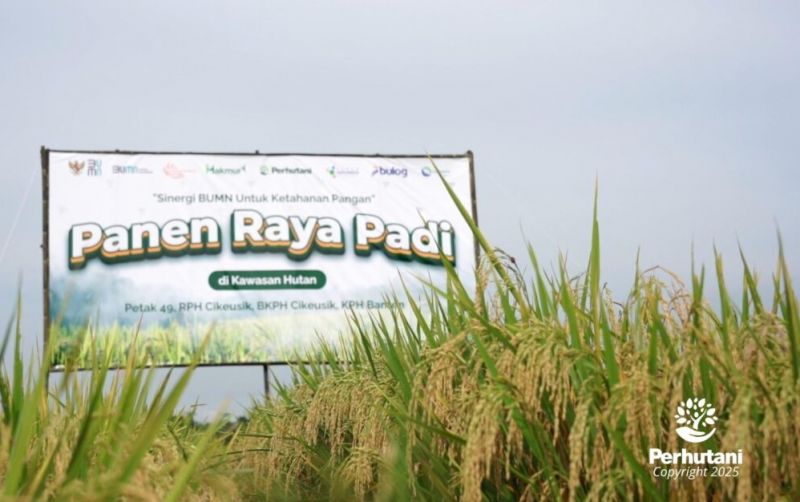 uploads/news/2025/03/perhutani-dan-bumn-pmo-507850d96f1efda.jpg