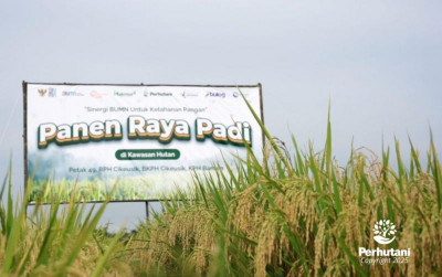 uploads/news/2025/03/perhutani-dan-bumn-pmo-507850d96f1efda_400.jpg