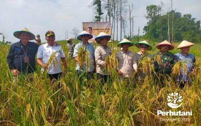 uploads/news/2025/03/perhutani-gelar-panen-raya-36502612c052e29_400.jpg
