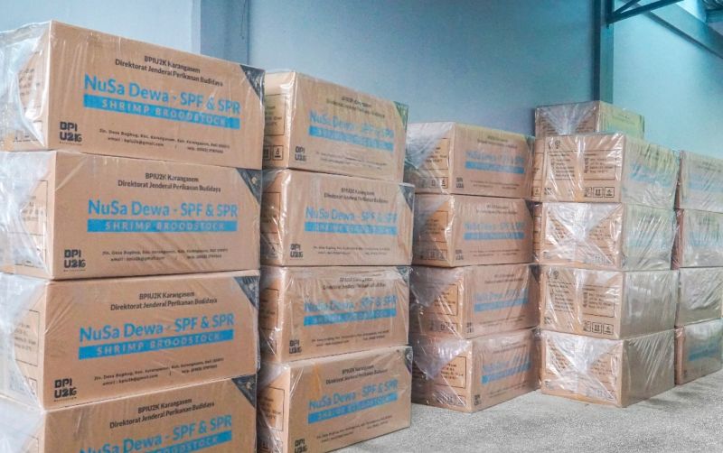 uploads/news/2025/03/produksi-udang-meningkat-berkat-5517024651fa1f9.jpg