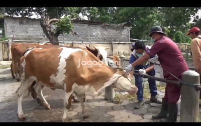 uploads/news/2025/03/profesionalisme-asn-genjot-produksi-32069e9eb79338f_400.jpg