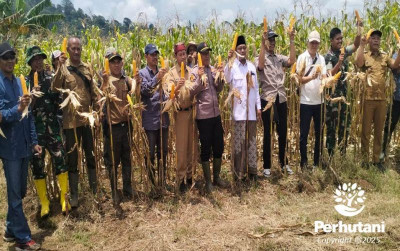 uploads/news/2025/03/sukseskan-ketahanan-pangan-panen-72829bacac27f51_400.jpg