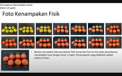 uploads/news/2025/03/teknologi-nanobubbles-pertahankan-mutu-58577f0d70dfb6c_400.jpg