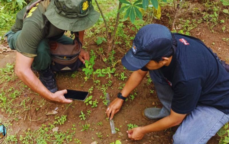 uploads/news/2025/03/viral-harimau-di-ponorogo--36771ab86d2157d.jpg
