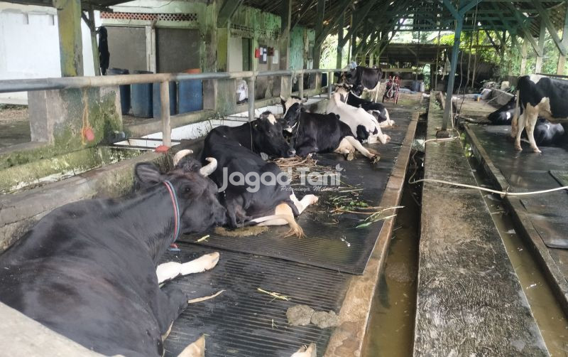 uploads/news/2025/04/brin-bahas-inovasi-pemuliaan-36389ee8b24c164.jpg