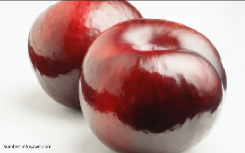 uploads/news/2025/04/coating-glossy-sawit-perpanjang-8642898f69cd145.jpg