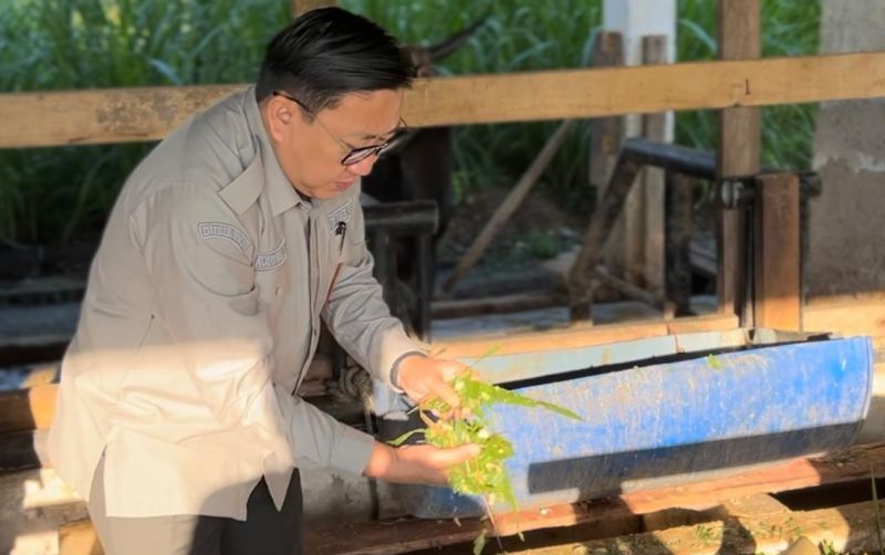 uploads/news/2025/04/ditjenpkh-berupaya-kembangkan-peternakan-4752699834953f8.jpeg