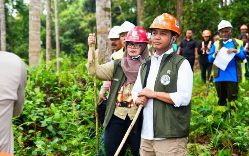 uploads/news/2025/04/dorong-revitalisasi-industri-kehutanan--42693961d2b1ebd.jpeg