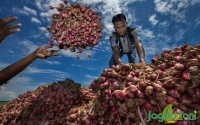 uploads/news/2025/04/harga-bawang-mulai-berangsur-794360b59a1de7c_400.jpeg
