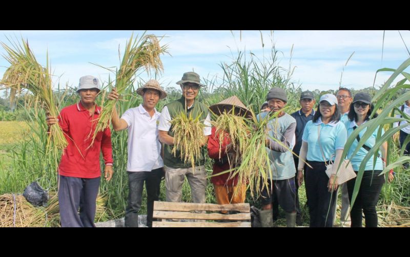 uploads/news/2025/04/hasil-ubinan-padi-inpago-486590ebc81d15c.jpg