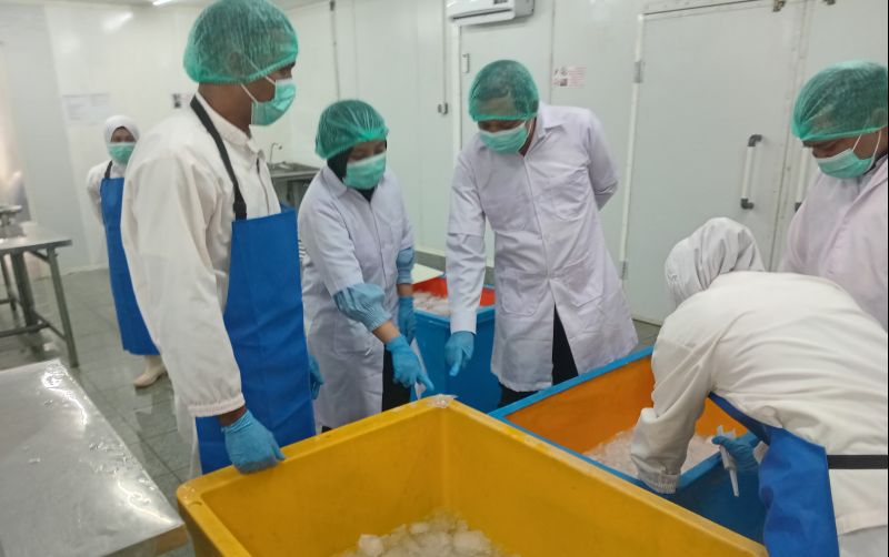 uploads/news/2025/04/indonesia-tingkatkan-pasar-ekspor-940833ced60372a.jpg