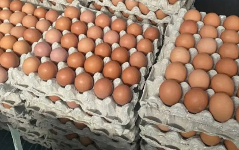 uploads/news/2025/04/kementan-stabilisasi-harga-telur-691495d1253e911.jpeg