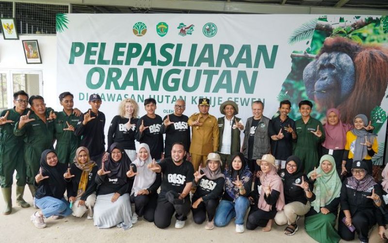 uploads/news/2025/04/pelepasliarkan-orangutan-dalam-peringati-705931c98eac6bd.jpg