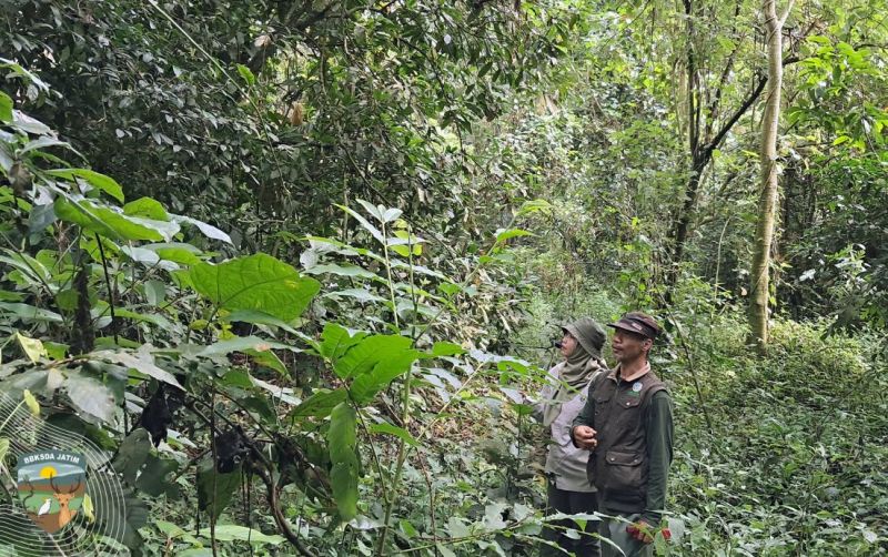uploads/news/2025/05/alas-simpenan-cagar-alam-161246962b8a45b.jpg