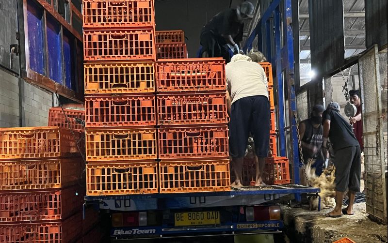 uploads/news/2025/05/awasi-harga-ayam-kementan-2611152f19e1972.jpeg