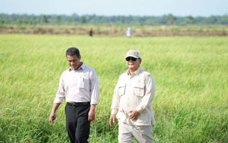 uploads/news/2025/05/berkat-petani-stok-beras-115418c9dca4374.jpeg