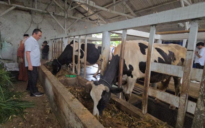uploads/news/2025/05/berkat-program-p2sp-produksi-70522f335b2550a.jpeg