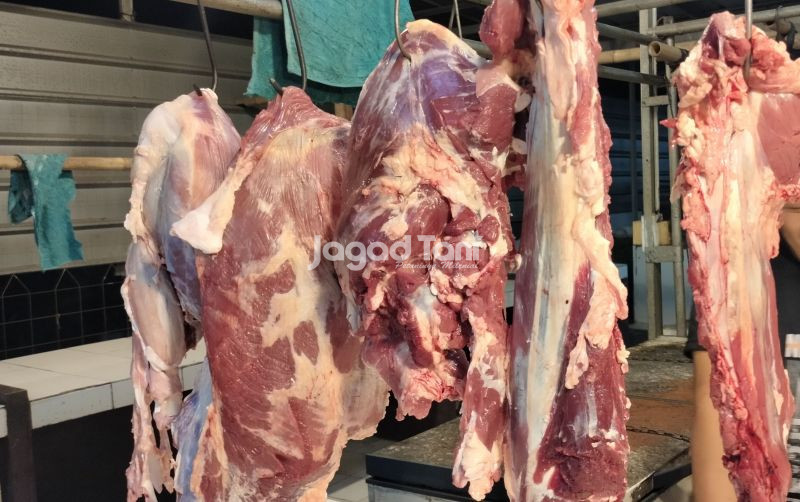 uploads/news/2025/05/brin-berbagi-tips-jaga-27430104517726d.jpg