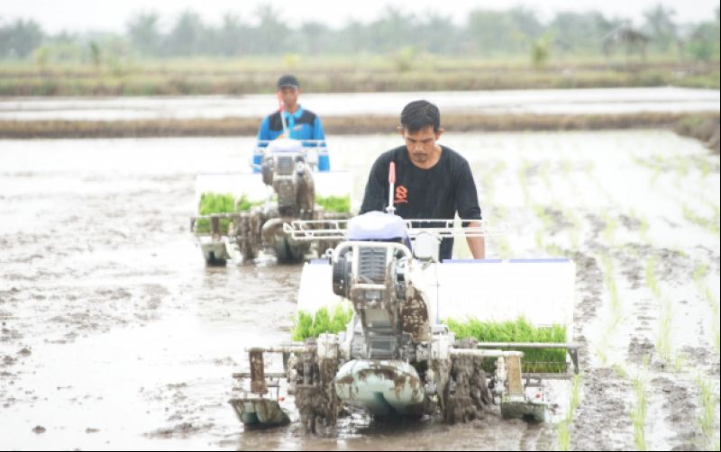 uploads/news/2025/05/capai-swasembada-pangan-bea-71226e08c5353da.jpg