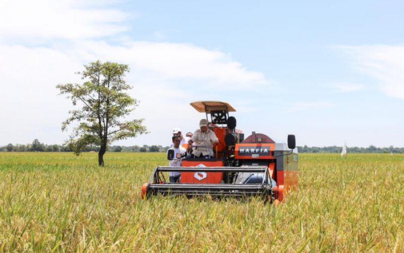 uploads/news/2025/05/indonesia-pimpin-produksi-beras-540978a1e0ffbf0.jpeg