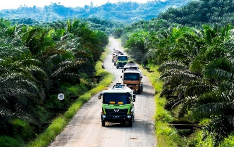 uploads/news/2025/05/industri-sawit-pilar-pembangunan-23546dbe4b73330.jpg