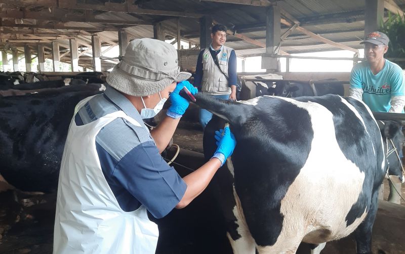 uploads/news/2025/05/jelang-idul-adha-kementan-5160038ef9e77ac.jpeg