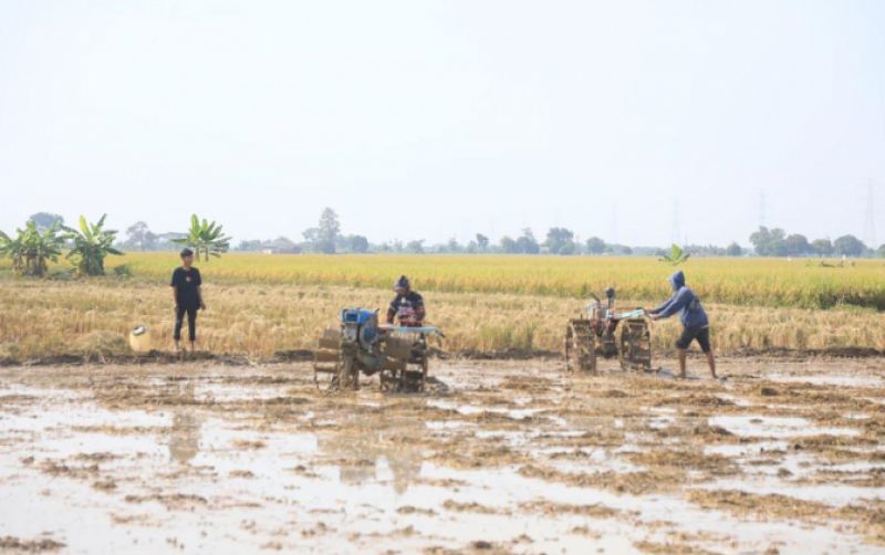 uploads/news/2025/05/kejar-swasembada-indramayu-dan-973712f2afe9d11.jpeg