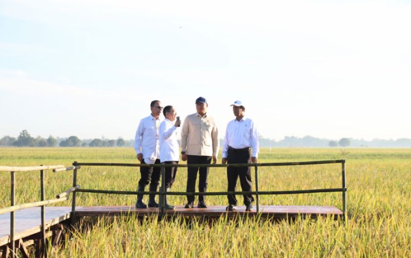 uploads/news/2025/05/kejar-swasembada-kementan-tanam-154445a215f905c.jpeg