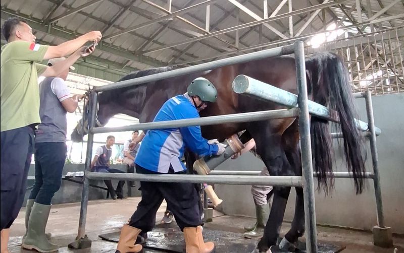 uploads/news/2025/05/kembangkan-semen-beku-kuda--8167200d4f1150d.jpeg