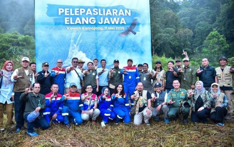 uploads/news/2025/05/lepasliarkan-elang-jawa-menhut-382687f20958291.jpeg