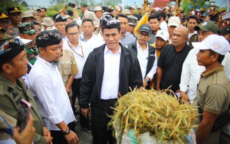 uploads/news/2025/05/luwu-timur-ditargetkan-tanam-11910090160eb23.jpeg
