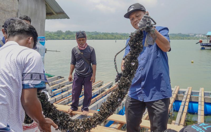 uploads/news/2025/05/modeling-lobster-hidupkan-budidaya-922605eaf08d4ef.jpg