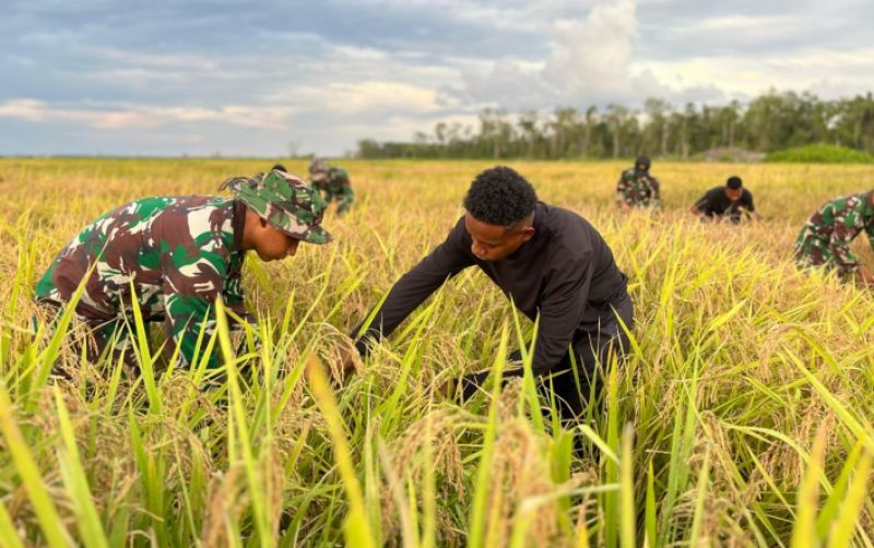 uploads/news/2025/05/panen-perdana-di-wanam--646791ec6902df3.jpeg