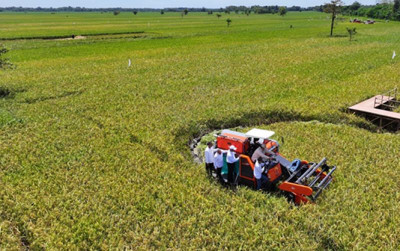 uploads/news/2025/05/para-petani-apresiasi-kebijakan-42169fb251c158e_400.png