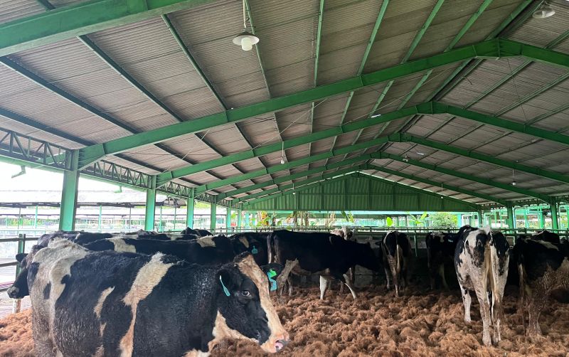 uploads/news/2025/05/perkuat-industri-sapi-perah--92058db1eb30b43.jpeg