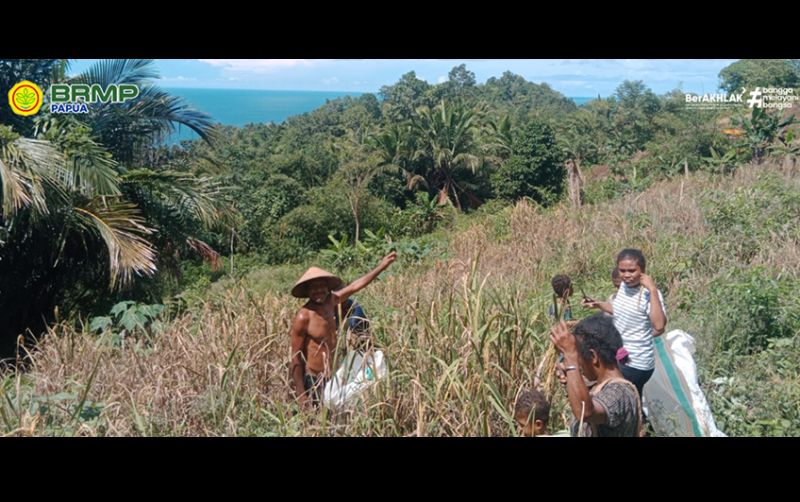uploads/news/2025/05/petani-biak-numfor-berjuang-6334315212f089a.png