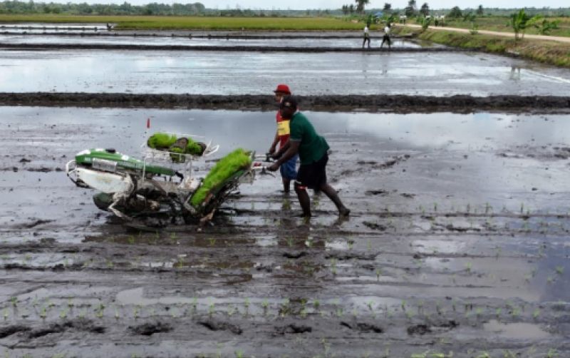uploads/news/2025/05/rice-transplanter-inovasi-peningkatan-6251196d20aea0f.jpg