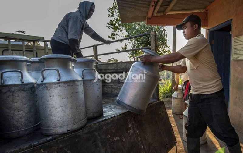 uploads/news/2025/06/atasi-stunting-kementan-dorong-233104c044bed50.jpg
