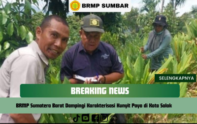 uploads/news/2025/06/brmp-sumbar-dampingi-karakterisasi-4525463ca63b6a6_400.png