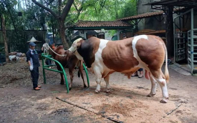 uploads/news/2025/06/kementan-dorong-kolaborasi-teknologi-80612c8e1261ff9_400.jpg