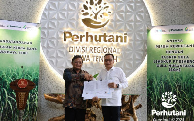 uploads/news/2025/06/kolaborasi-perhutani-dan-pt-47247cedf046576_400.jpg