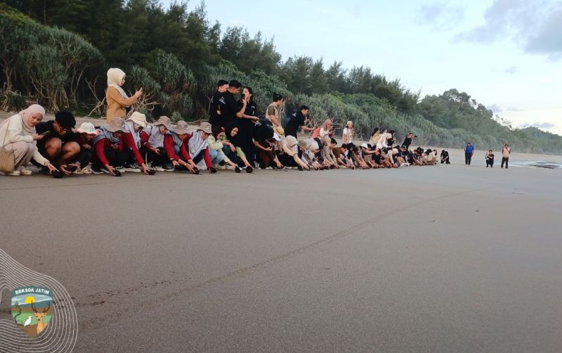 uploads/news/2025/06/konservasi-penyu-lekang-pelepasliarkan-40358c796171067.jpg